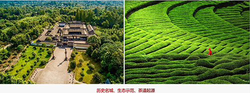 茶文化是歷史，設(shè)計源于何方